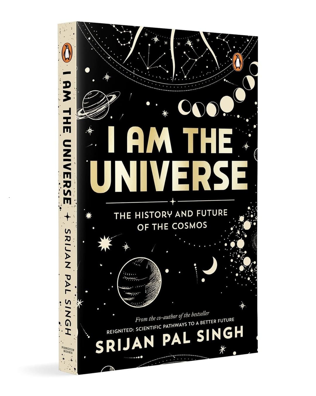 I am the Universe : The History and Future of the Cosmos by Srijan Pal Singh [Paperback] - versoz.com