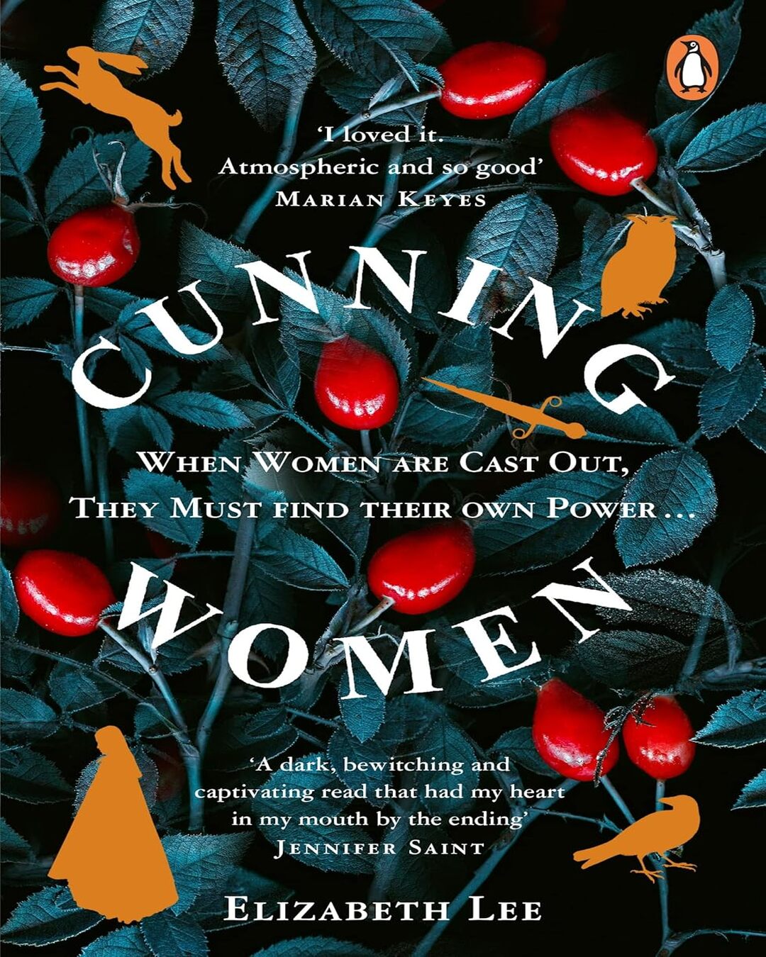Cunning Women by by Elizabeth Lee [Paperback] - versoz.com