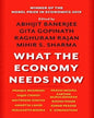 What The Economy Needs Now by Abhijit Banerjee, Gita Gopinath, Raghuram Rajan & Mihir S. Sharma [Paperback]