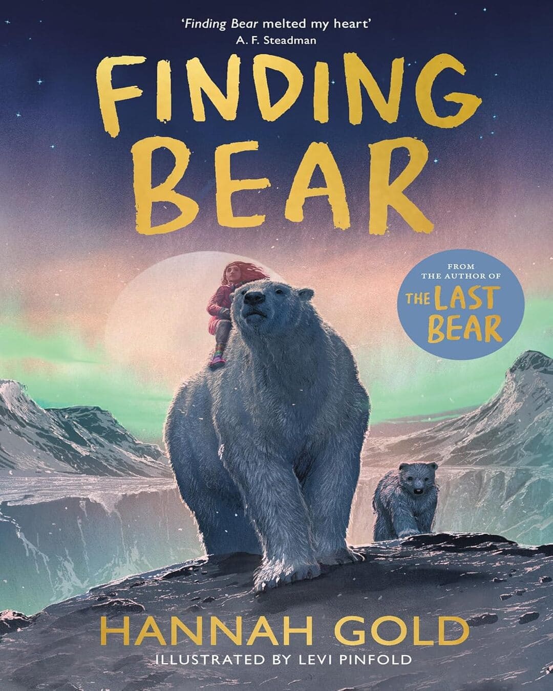 Finding Bear by Hannah Gold [Paperback] - versoz.com
