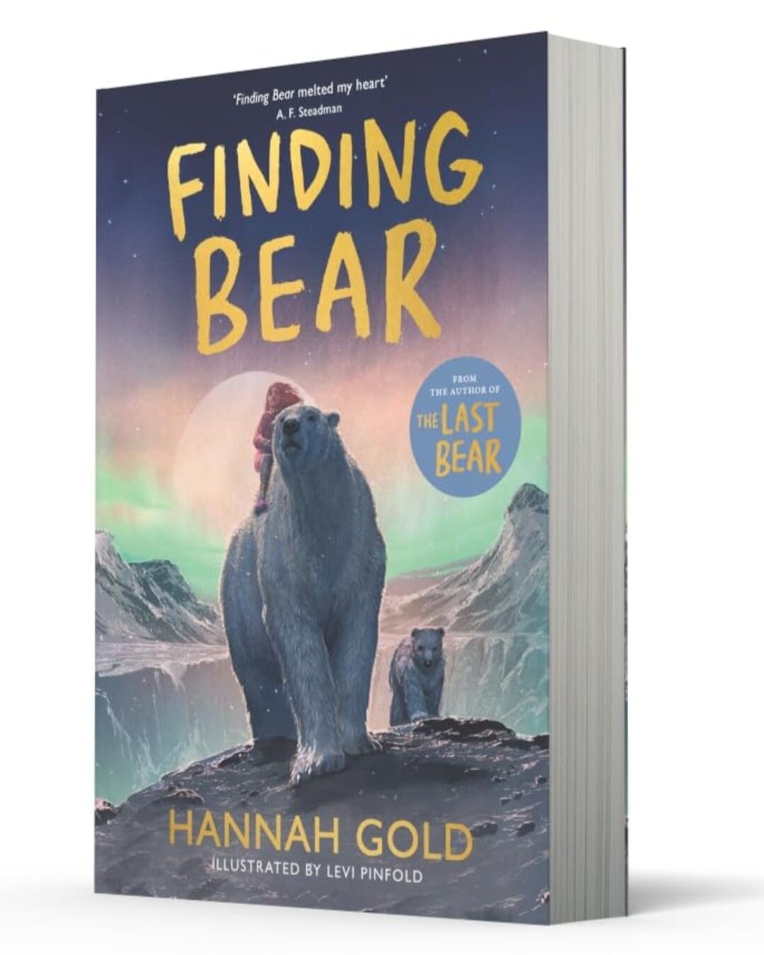 Finding Bear by Hannah Gold [Paperback] - versoz.com