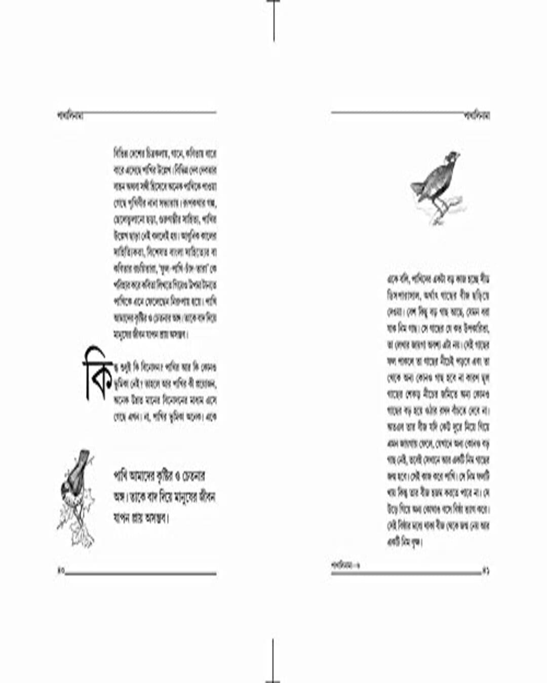 Pakhalinama by Rupankar Sarkar [Hardcover] - versoz.com