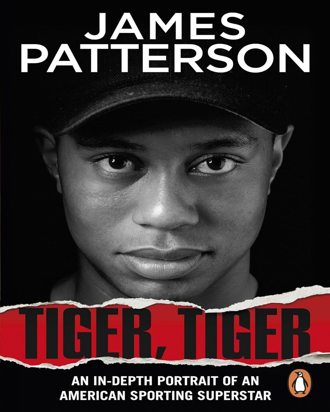 Tiger, Tiger by James Patterson [Paperback] - versoz.com