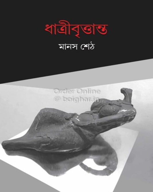 Dhatribrittanto by Manas Seth [Hardcover] - versoz.com