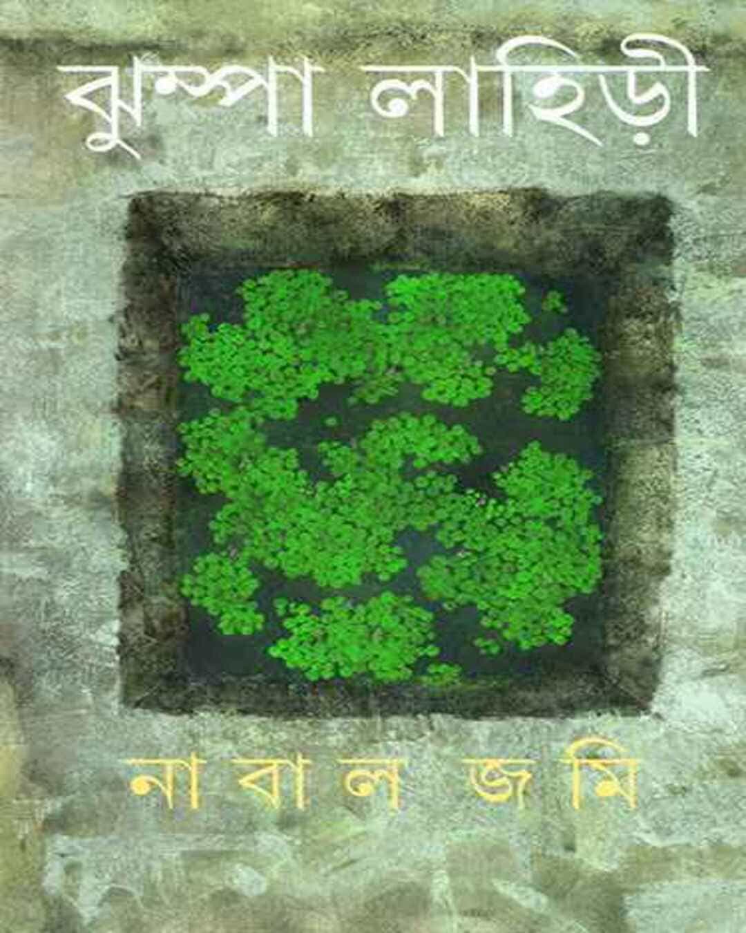 Nabal Jami by Jhumpa Lahiri [Hardcover] - versoz.com