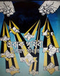 Obak Prithibi by Narayan Sanyal [Hardcover] - versoz.com