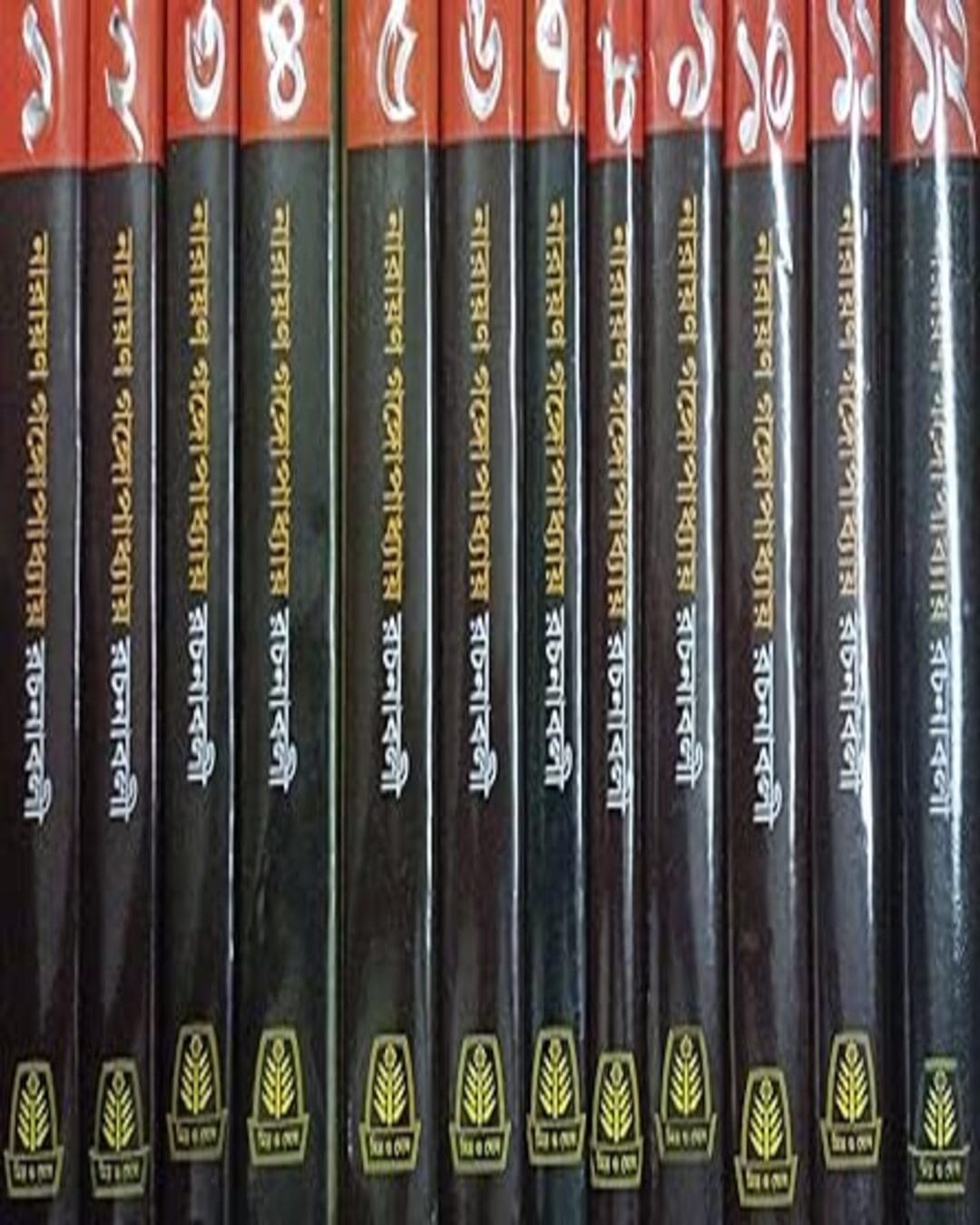 Rachanabali (12 Volumes) by Narayan Gangopadhyay [Hardcover] - versoz.com