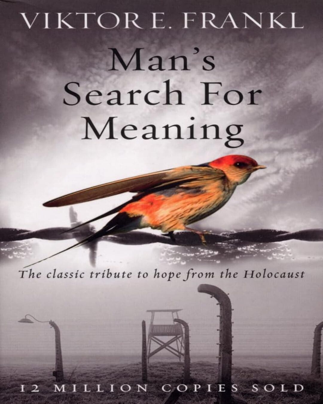 Man's Search For Meaning: The classic tribute to hope from the Holocaust by Viktor E Frankl [Hardcover] - versoz.com