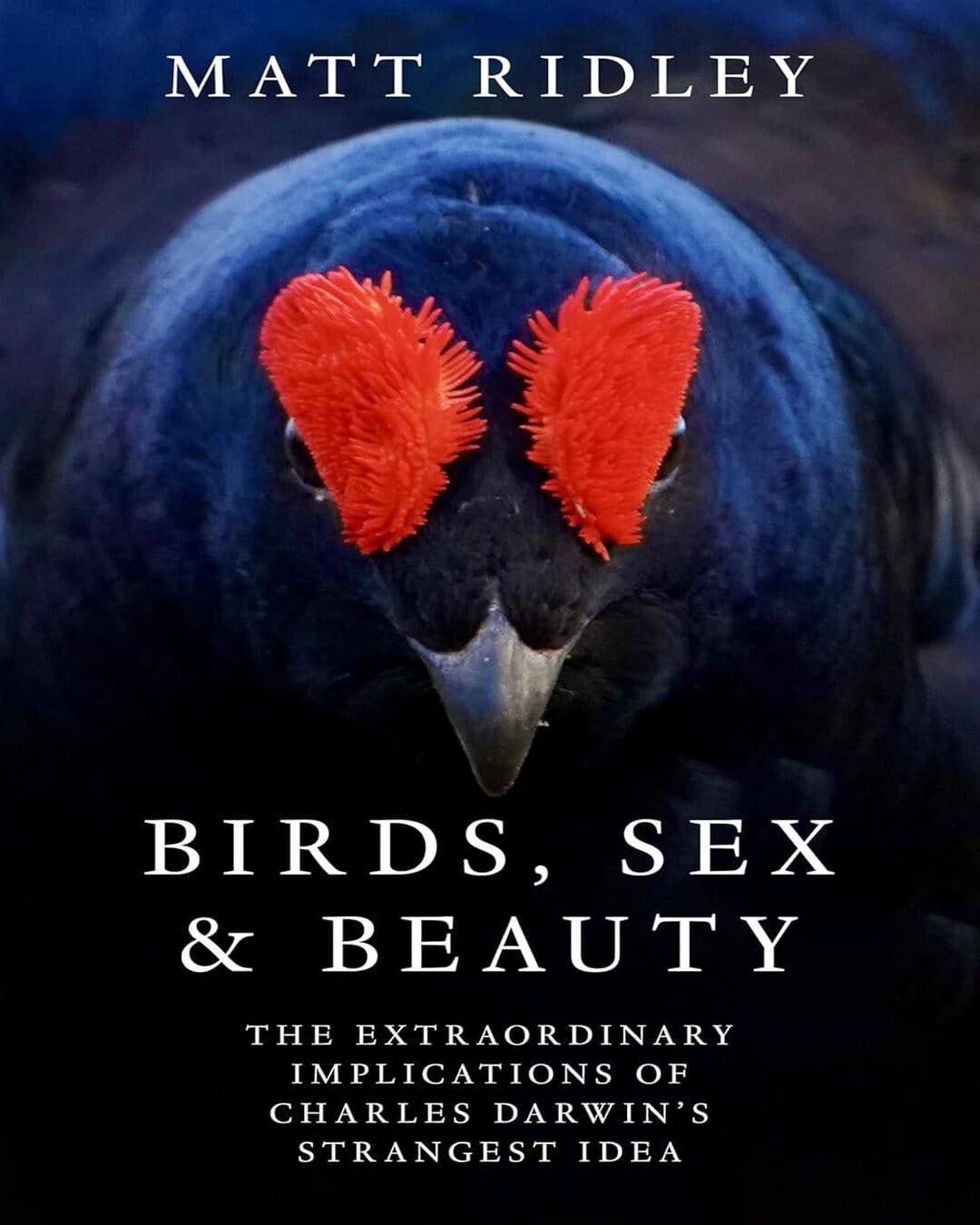 Birds, Sex and Beauty : The Extraordinary Implications of Charles Darwin’s Strangest Idea by Matt Ridley [Paperback] - versoz.com