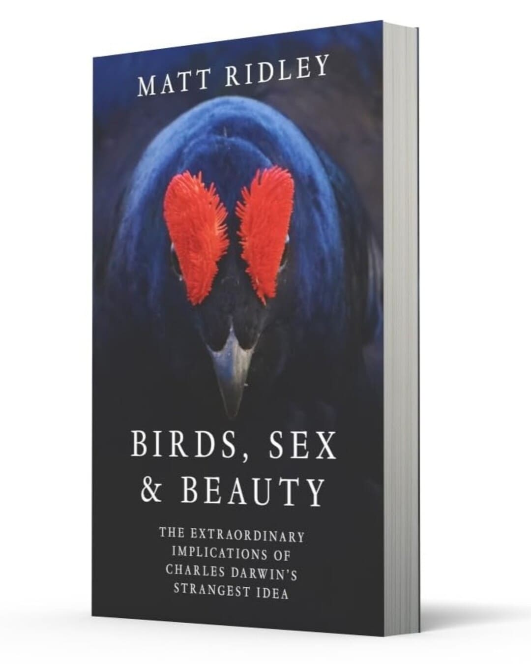 Birds, Sex and Beauty : The Extraordinary Implications of Charles Darwin’s Strangest Idea by Matt Ridley [Paperback] - versoz.com