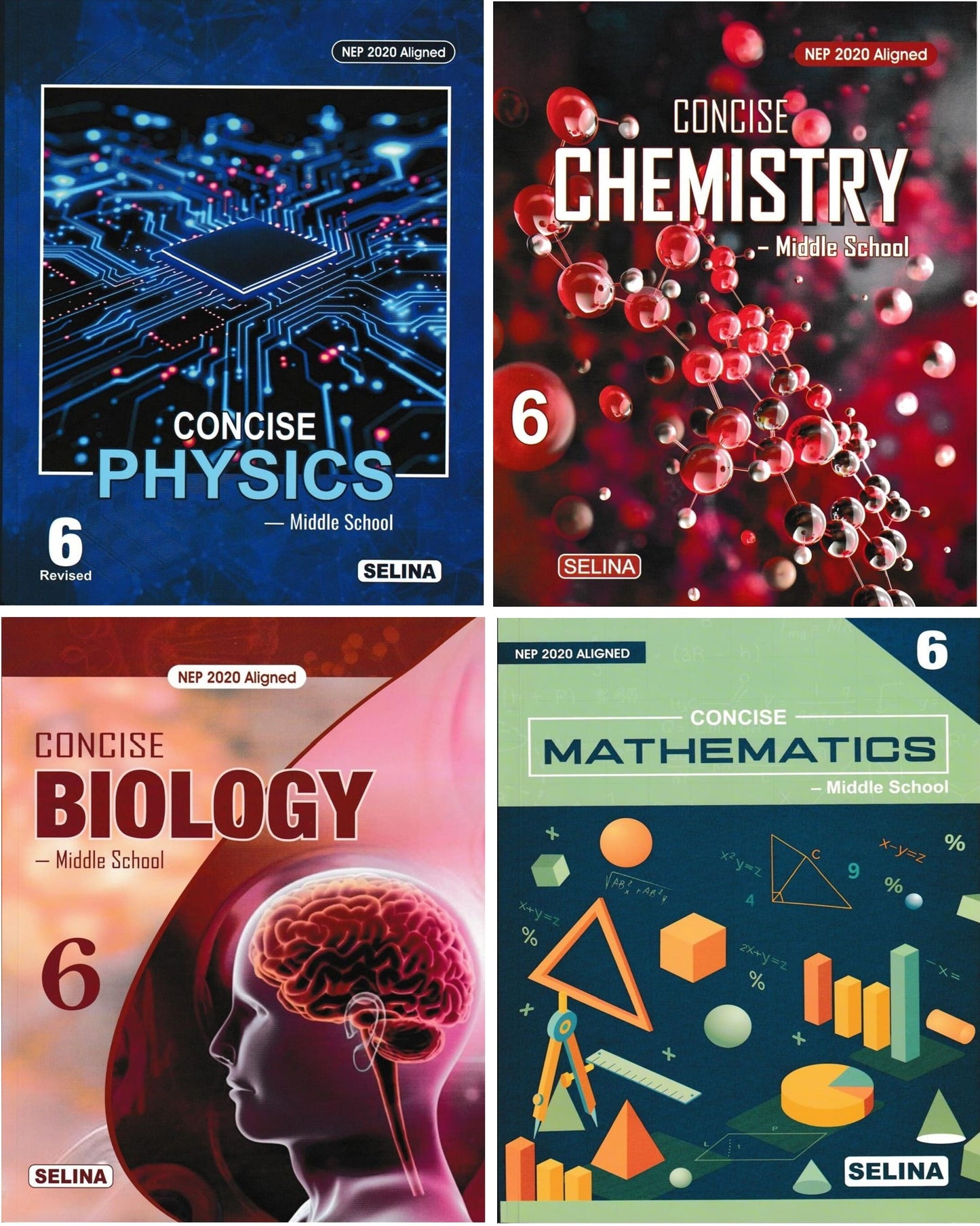Concise Physics, Chemistry, Biology & Mathematics - Middle School Class 6 (NEP 2020) for 2027 Examinations
