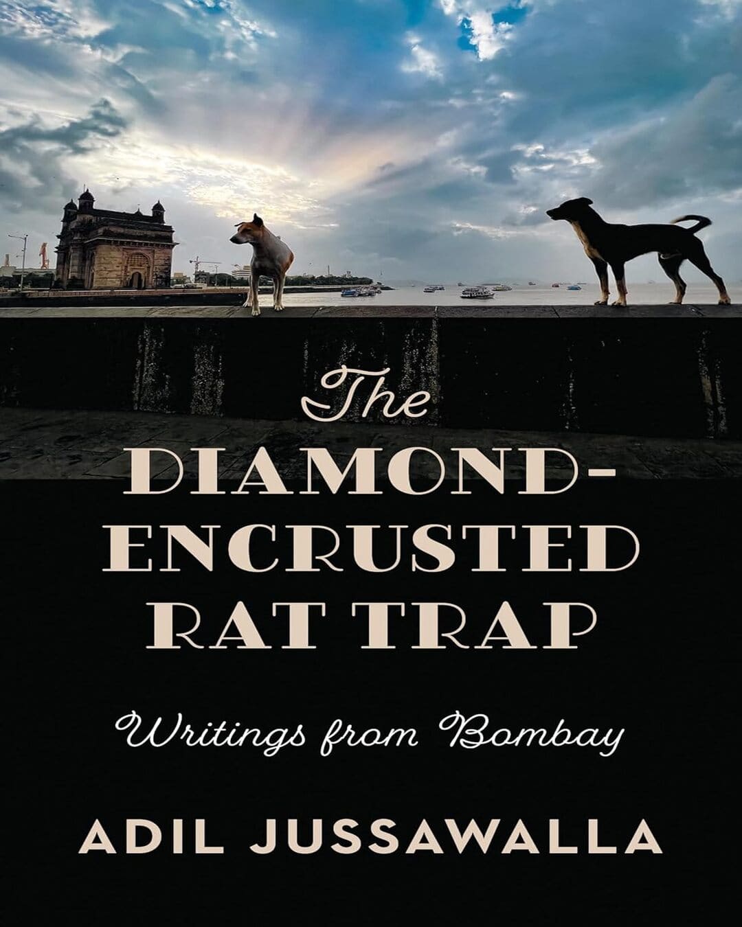 The Diamond-Encrusted Rat Trap : Writings from Bombay by Adil Jussawalla [Hardcover] - versoz.com