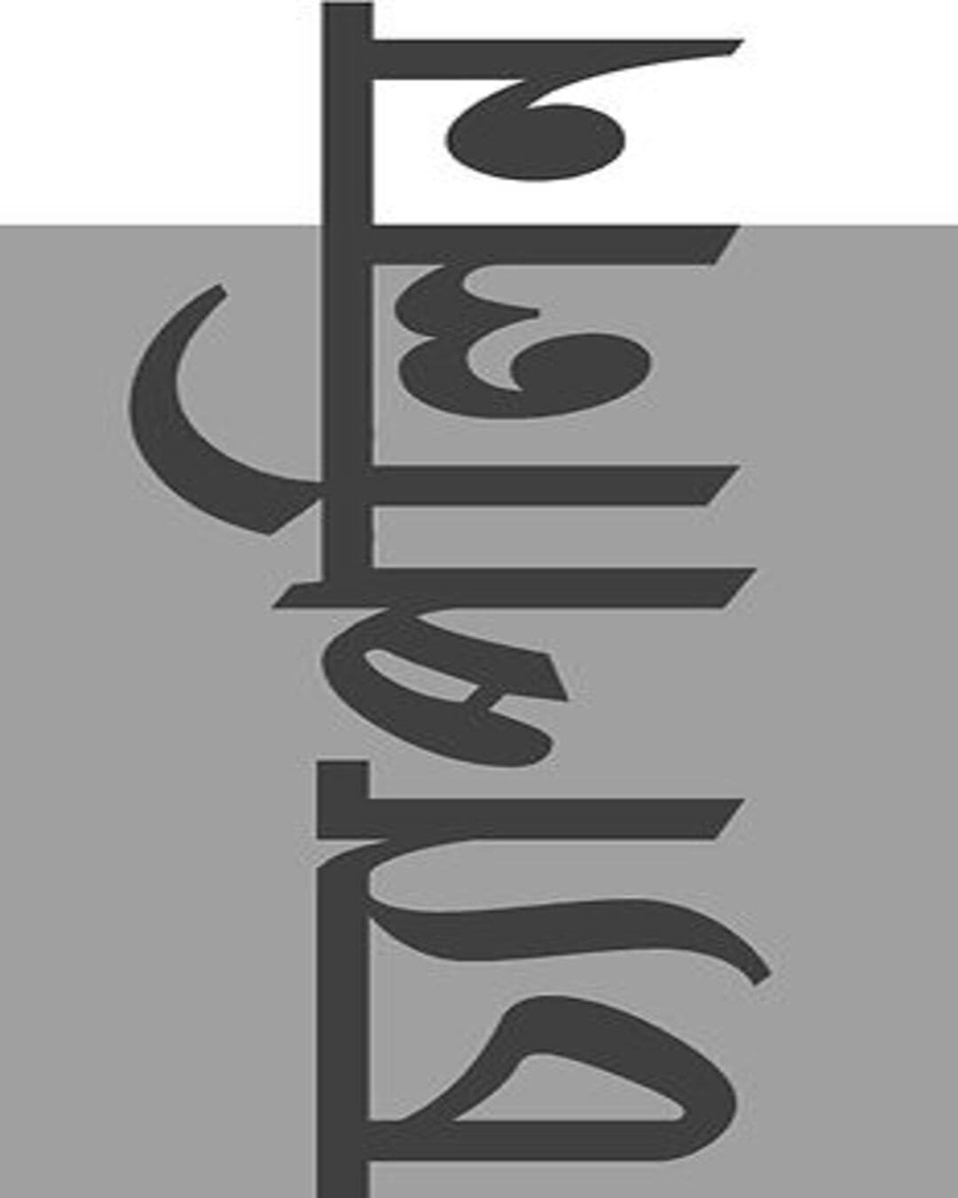 Chaplin by Purnendu Pattrea [Hardcover] - versoz.com