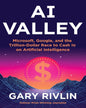 AI Valley : Microsoft, Google, and the Trillion-Dollar Race to Cash In on Artificial Intelligence by Gary Rivlin [Paperback] - versoz.com