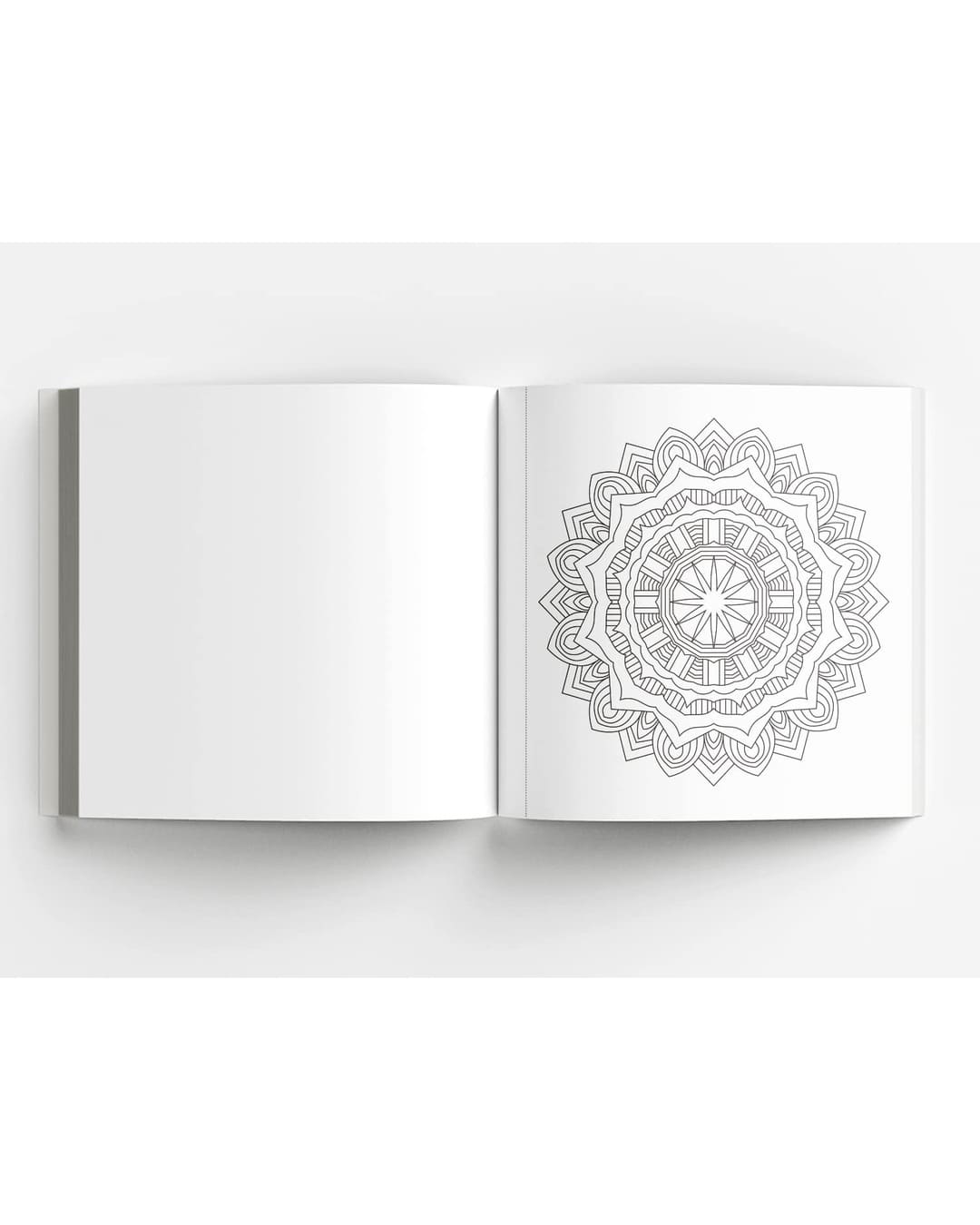 Mandala : Colouring books for Adults with Tear-out Sheets [Paperback]