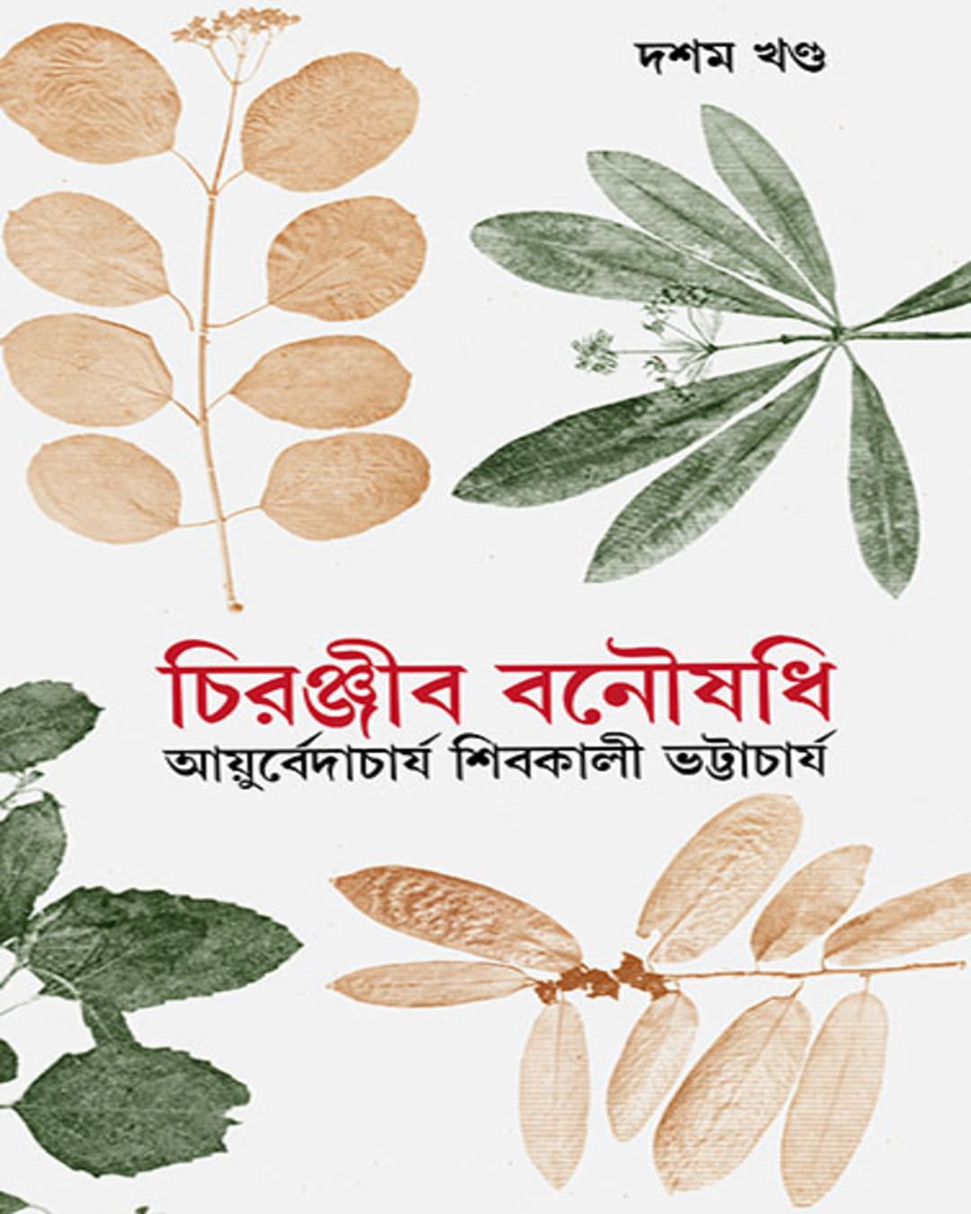Chiranjib Banoushadhi 10 by Shibkali Bhattacharya [Hardcover] - versoz.com
