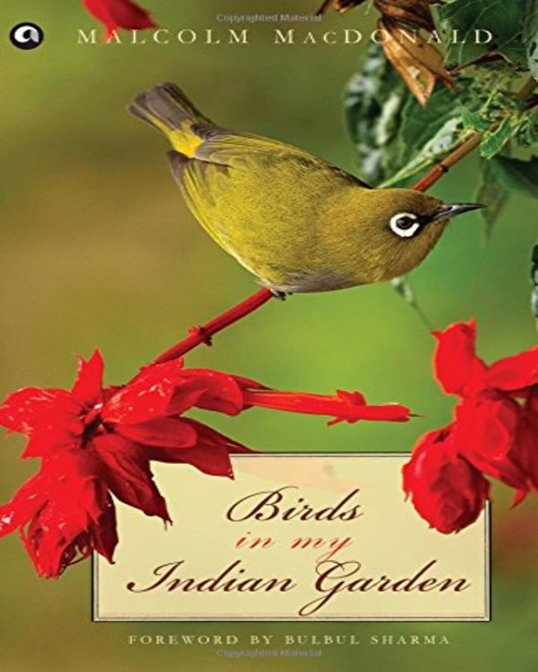 Birds in My Indian Garden by Malcolm MacDonald [Paperback] - versoz.com