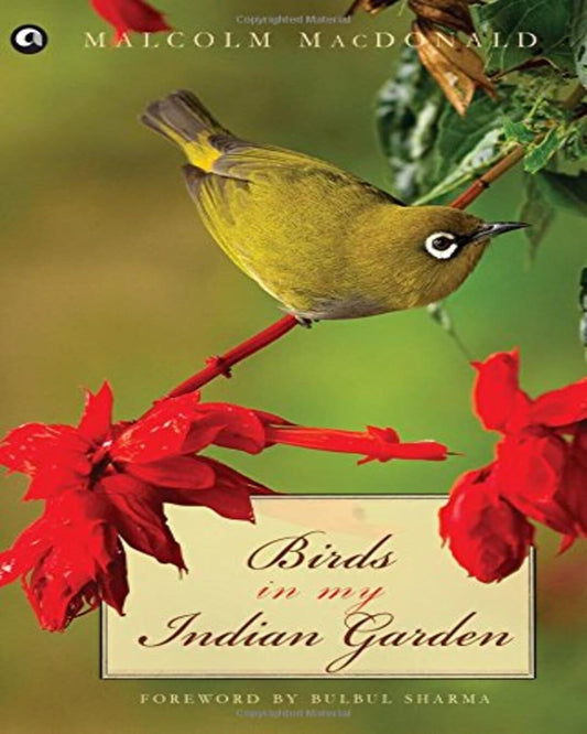 Birds in My Indian Garden by Malcolm MacDonald [Paperback] - versoz.com