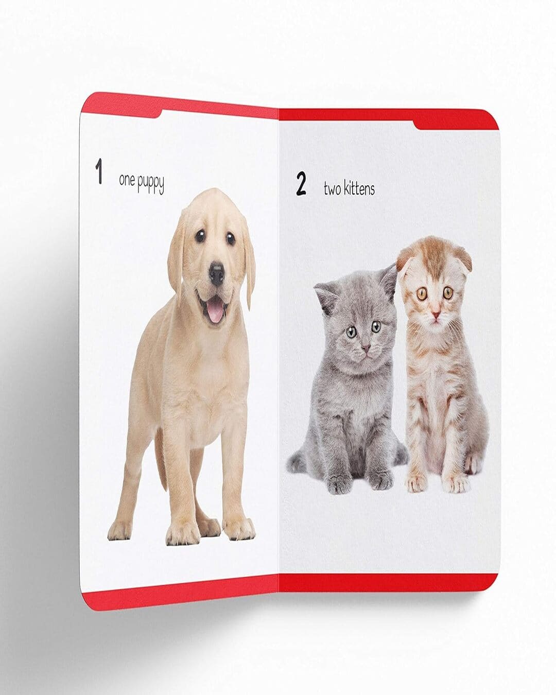 My First Padded Book of Numbers: Early Learning Padded Board Books for Children by Wonder House Books [Board book]