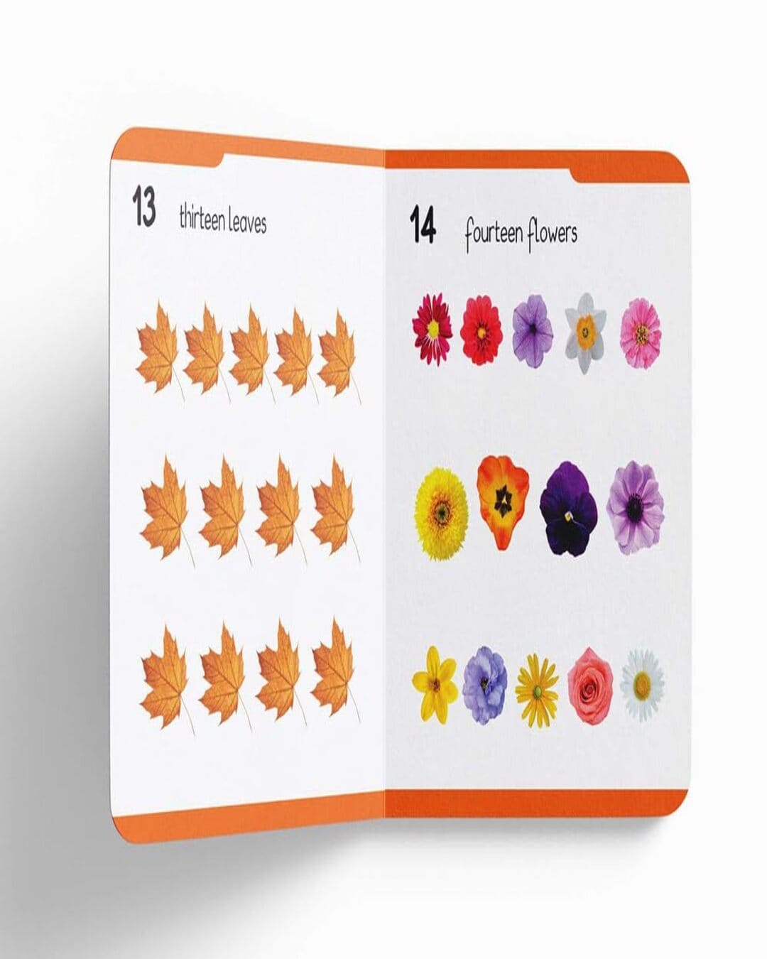My First Padded Book of Numbers: Early Learning Padded Board Books for Children by Wonder House Books [Board book]