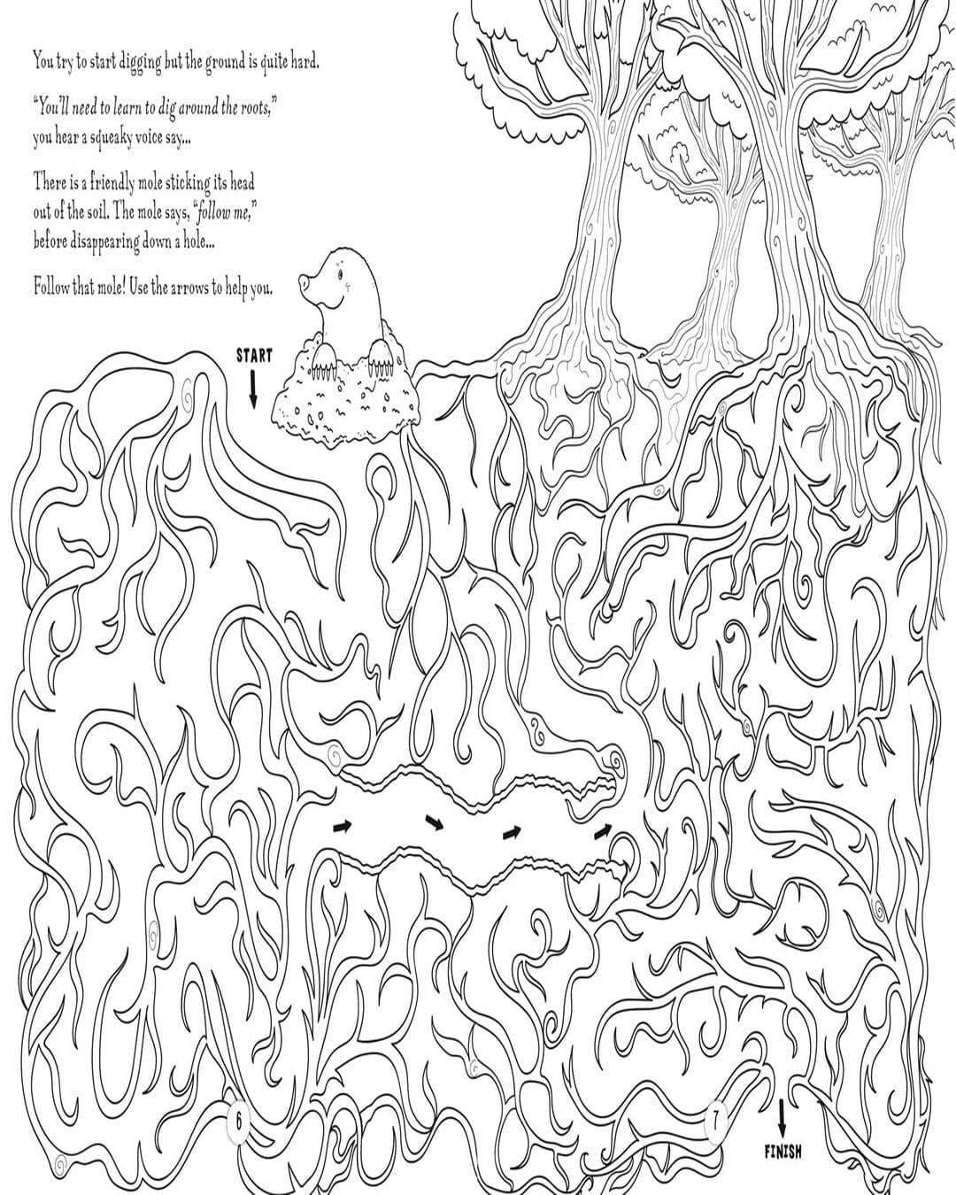 Maze Quest : HIDDEN HERO [Paperback] - versoz.com