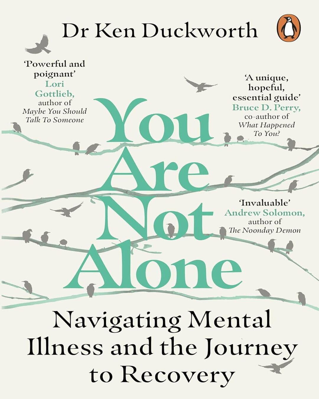 You Are Not Alone by Dr Ken Duckworth [Paperback] - versoz.com