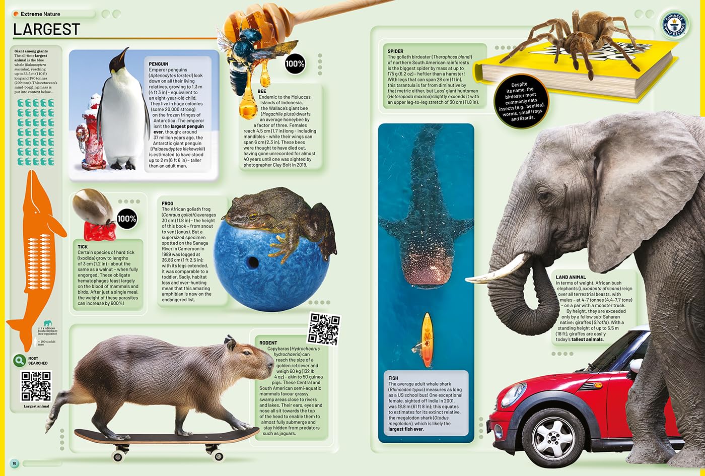 Guinness World Records 2026 Edition by Guinness  World Records [Hardcover]