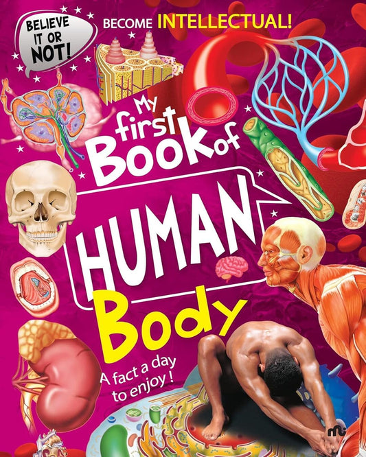 My First Book Of Human Body by Moonstone [Hardcover]