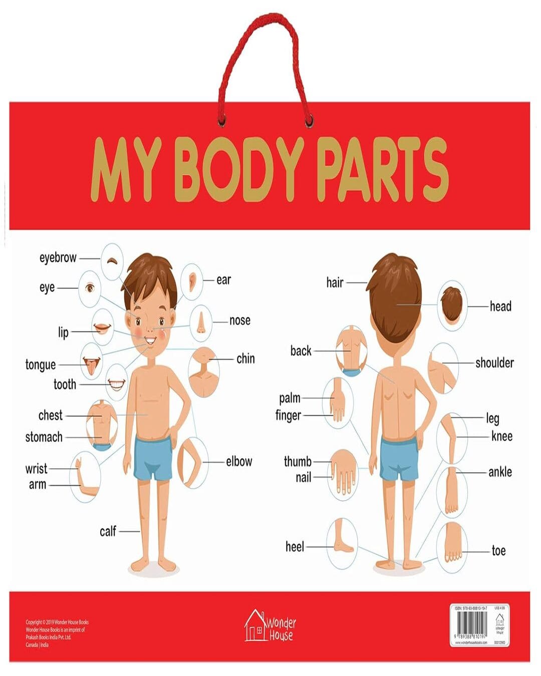 My Body Parts - Early Learning Educational Posters For Children: Perfect For Kindergarten, Nursery A by Wonder House Books [Paperback]