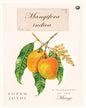Mangifera indica: A Biography of the Mango by Sopan Joshi [Hardcover]