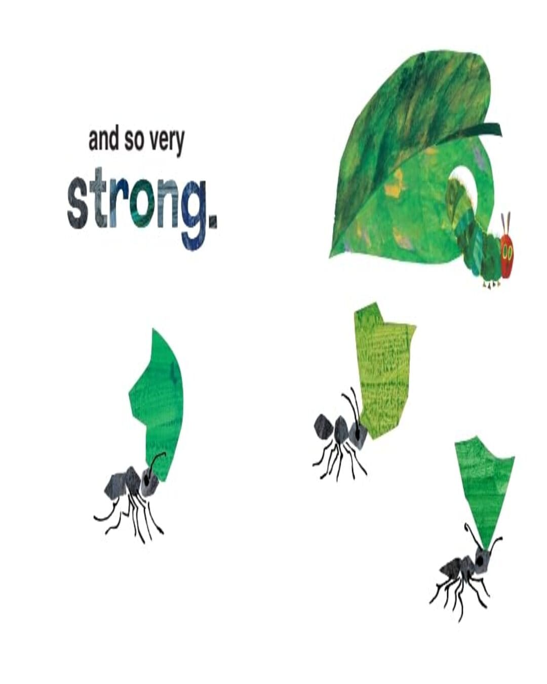 I Love Grandma With The Very Hungry Caterpillar by Carle Eric [Hardcover] - versoz.com