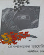 Meshpalaker Diary by Parthajit Chanda [Hardcover] - versoz.com