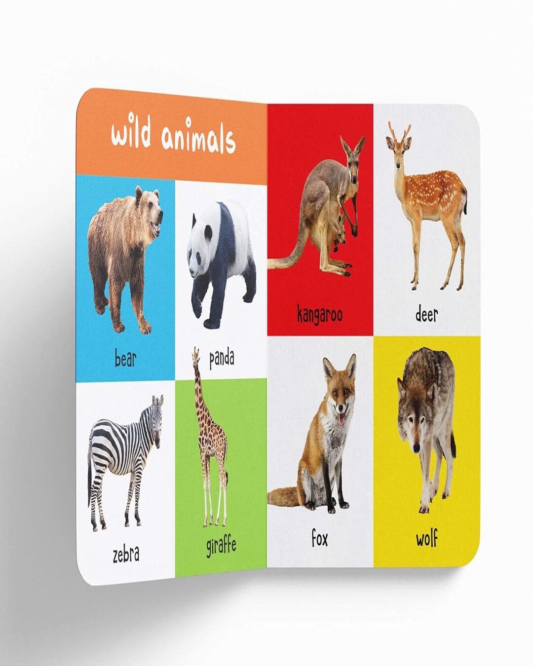 My First 100 Animals And Birds: Padded Board Books by Wonder House Books by Wonder House Books [Board book ]