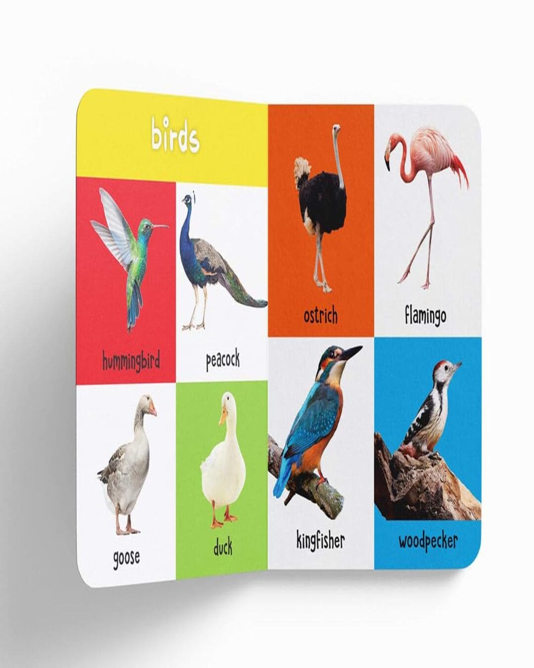 My First 100 Animals And Birds: Padded Board Books by Wonder House Books by Wonder House Books [Board book ]