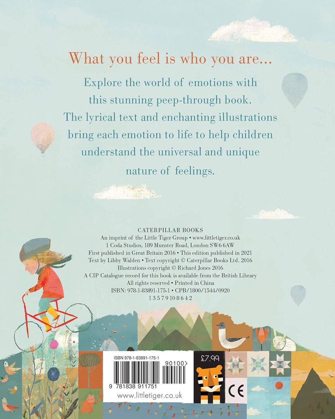 Feelings by Libby Walden & Richard Jones [Board Book] - versoz.com