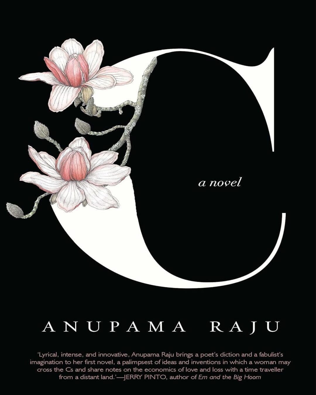 C: A Novel by Anupama Raju [Hardcover] - versoz.com
