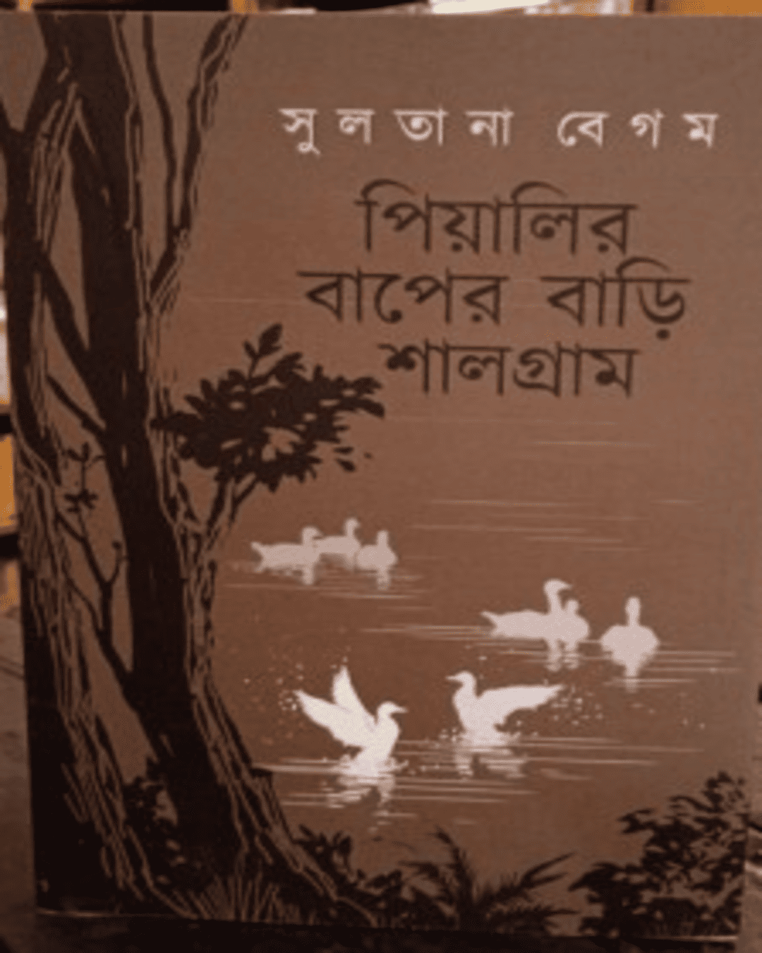 Piyalir Baper Bari Shalgram by Sultana Begam [Hardcover] - versoz.com