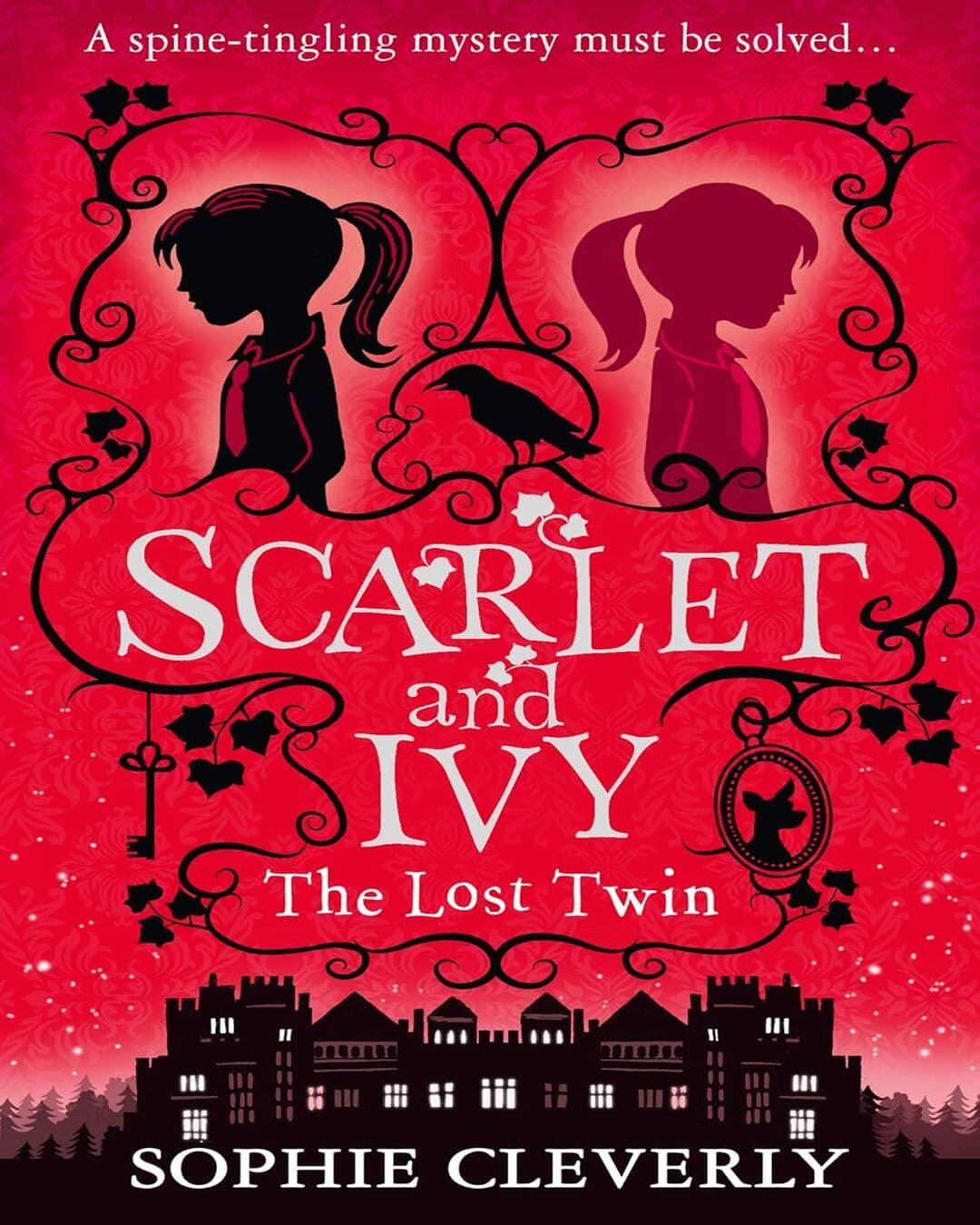 Lost Twin [Paperback]