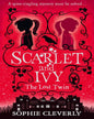 Lost Twin [Paperback]