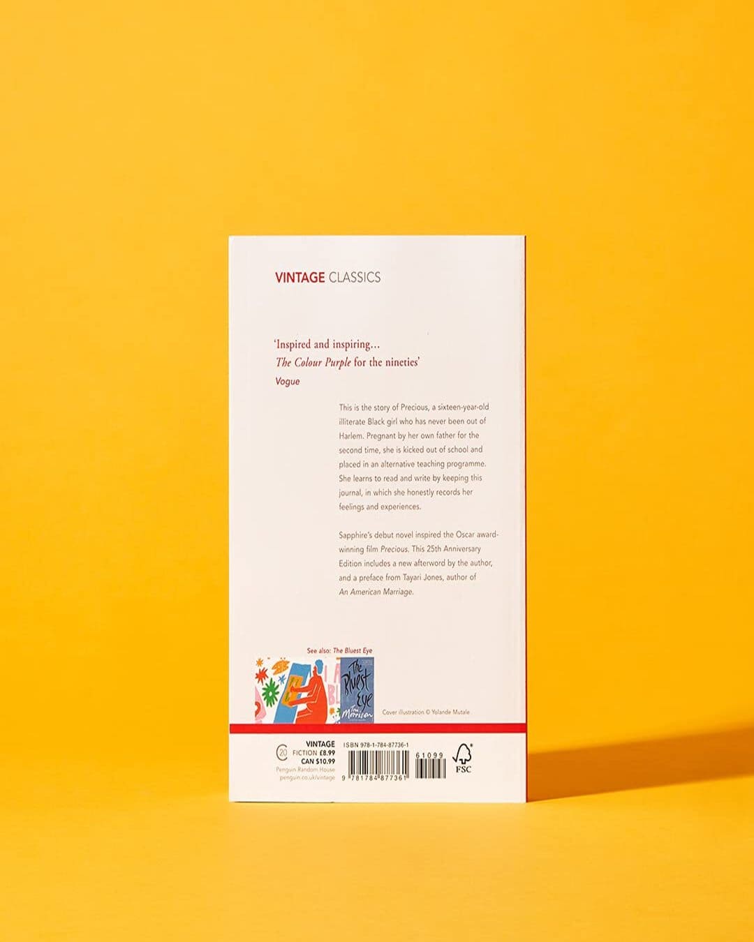 Push by Sapphire [Paperback] - versoz.com
