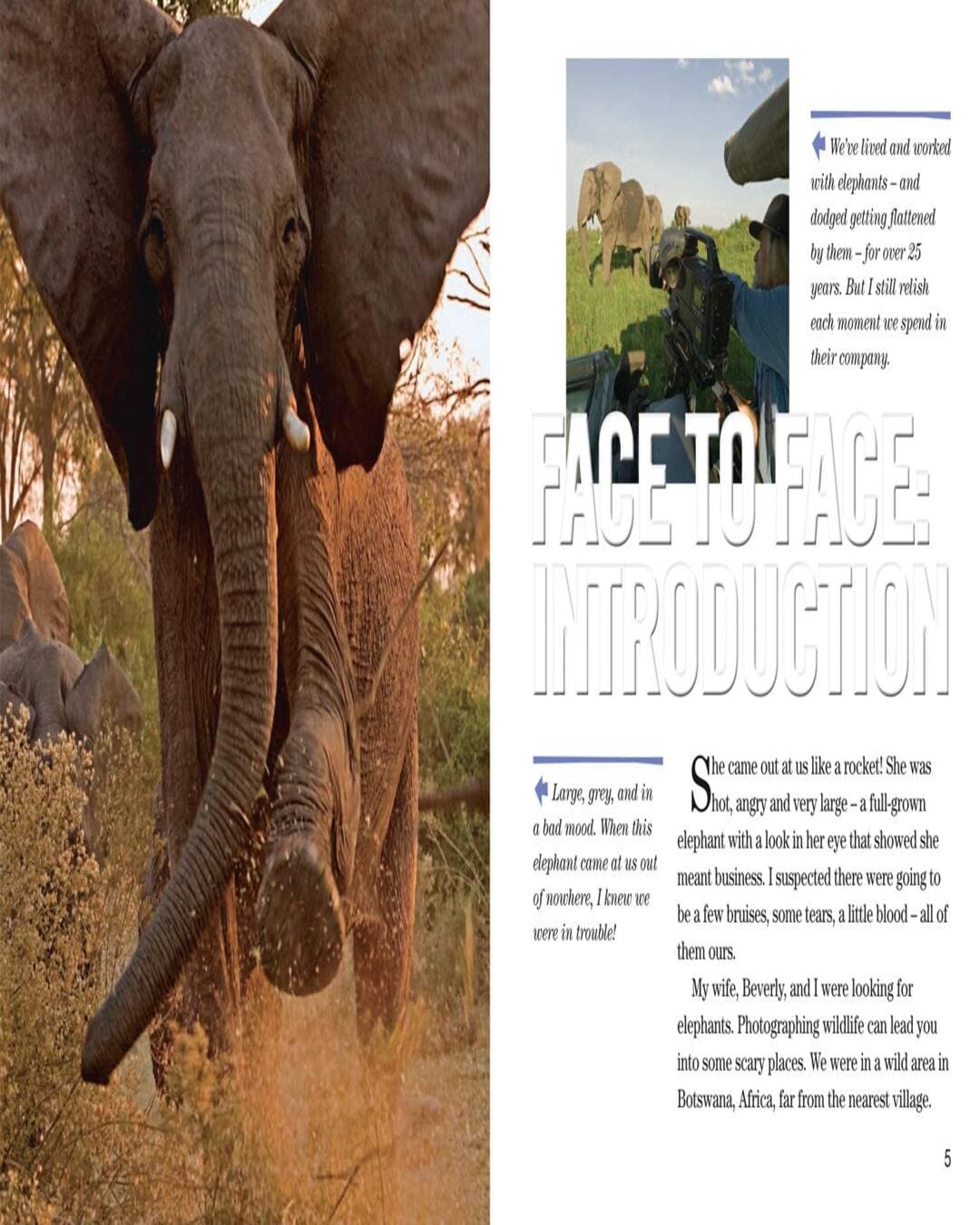 NG Readers â€” FACE TO FACE WITH ELEPHANTS: Level 6 [Paperback] - versoz.com