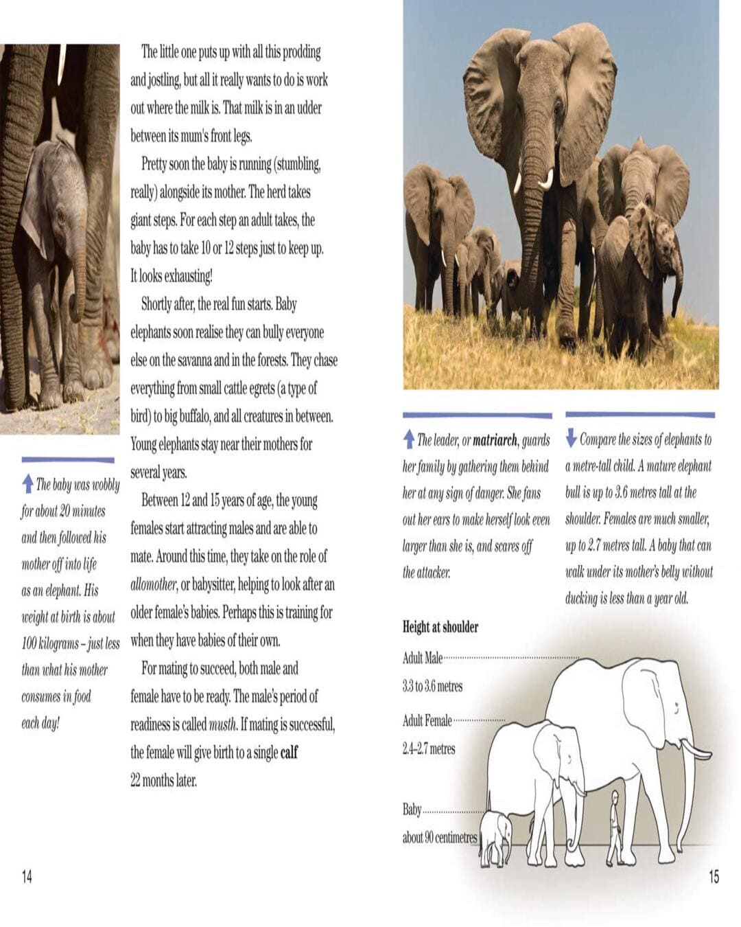 NG Readers â€” FACE TO FACE WITH ELEPHANTS: Level 6 [Paperback] - versoz.com