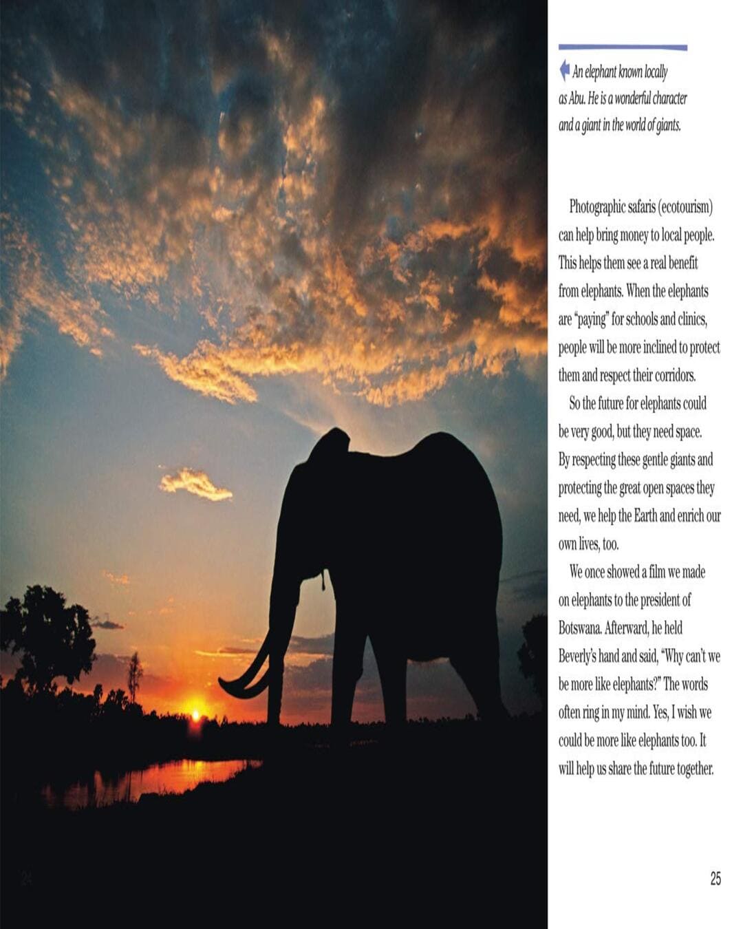 NG Readers â€” FACE TO FACE WITH ELEPHANTS: Level 6 [Paperback] - versoz.com