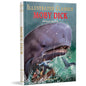 Moby Dick: Abridged Novels With Review Questions by Herman Melville [Hardecover]