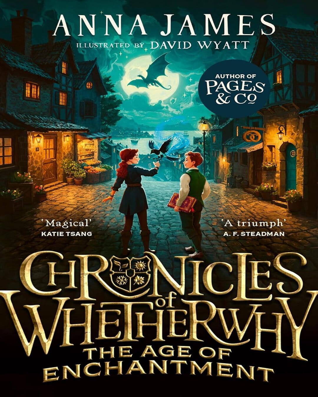 Chronicles of Whetherwhy : The Age of Enchantment by Anna James [Paperback] - versoz.com