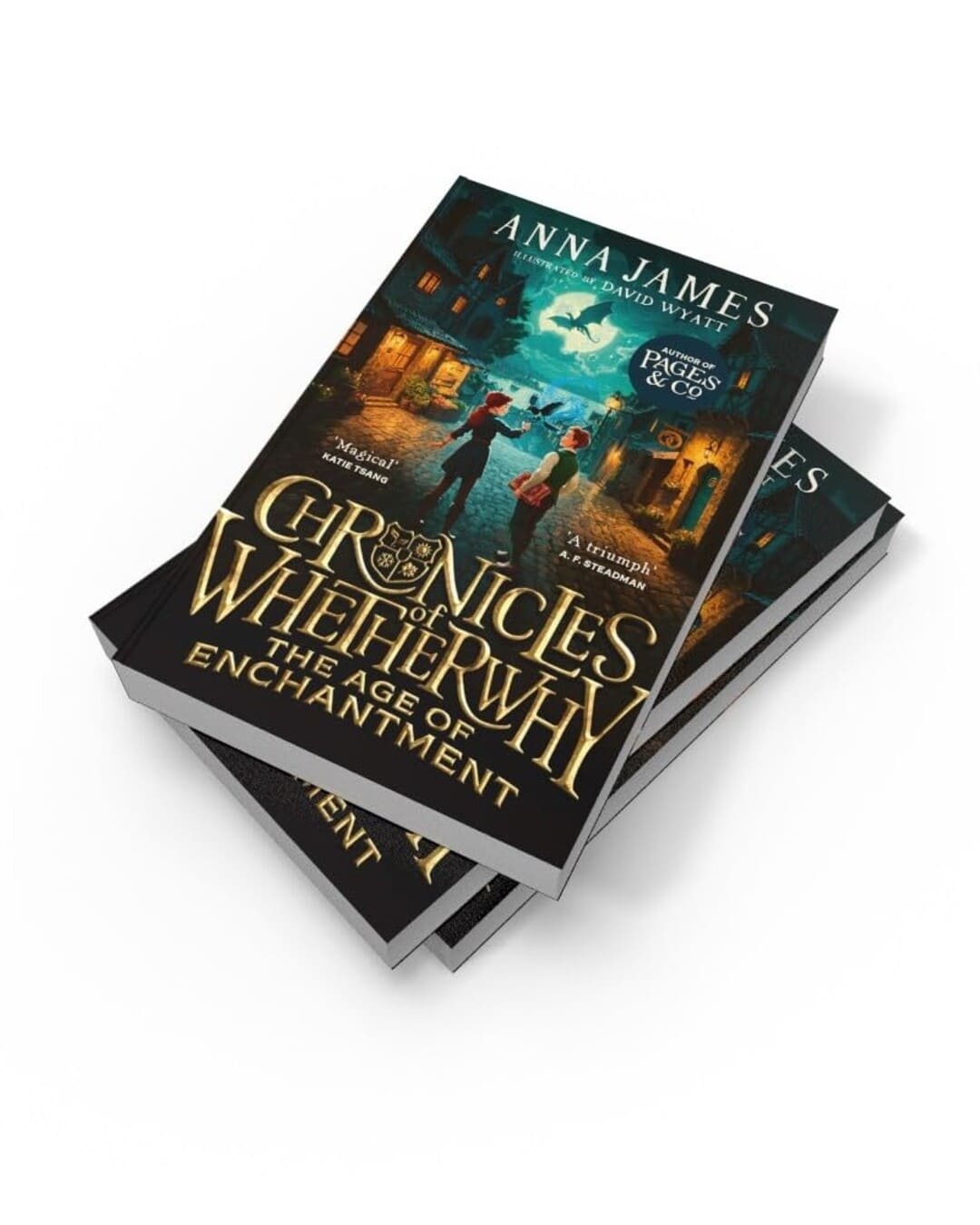 Chronicles of Whetherwhy : The Age of Enchantment by Anna James [Paperback] - versoz.com