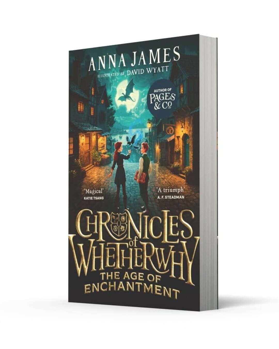 Chronicles of Whetherwhy : The Age of Enchantment by Anna James [Paperback] - versoz.com