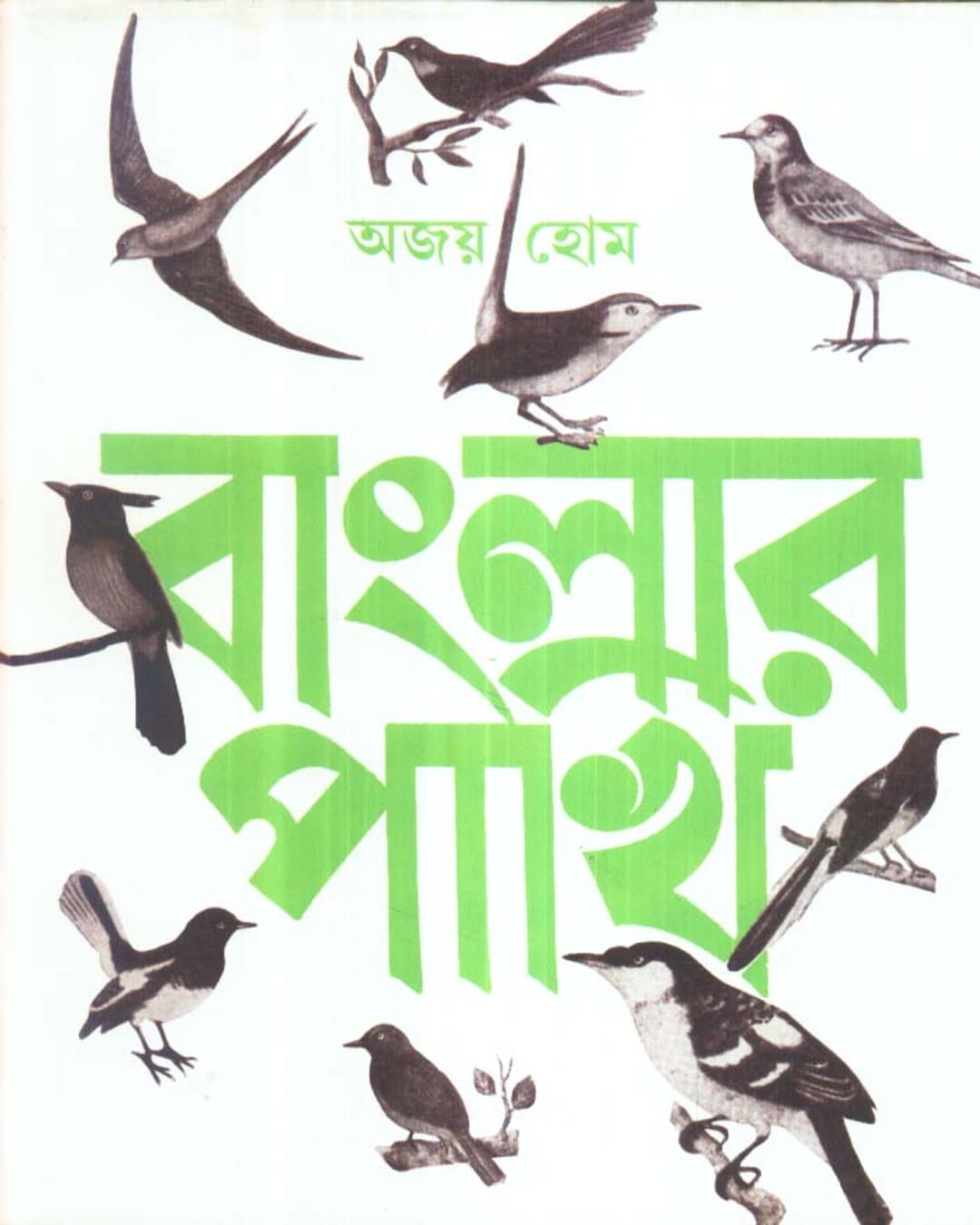 Banglar Pakhi (Vol 1) by Ajoy Home [Hardcover] - versoz.com
