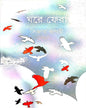 Ghare Fera by Caesar Bagchi [Hardcover] - versoz.com