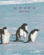 Antarctica by Sudipta Sengupta [Hardcover]